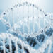 DNA