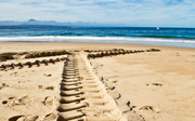 Tire tracks