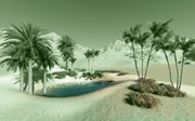 Oasis