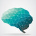 Brain