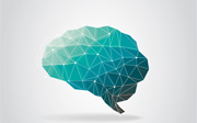 Brain