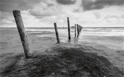 Tide-out