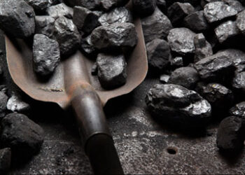 Coal