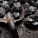 Coal
