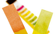Litmus paper