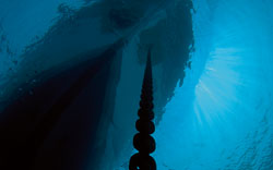 Anchor chain