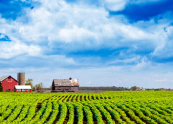 Farm