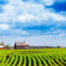 Farm