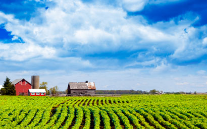 Farm