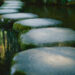 Stepping stones