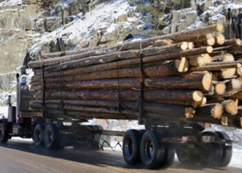 Heavy lorry