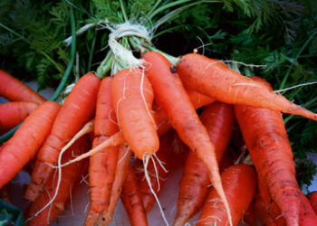 Carrots