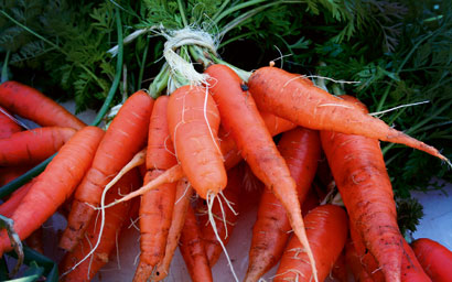Carrots