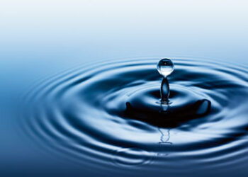 Liquid