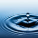 Liquid