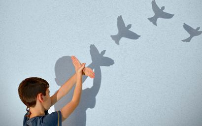 Birds
