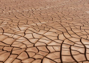 Dried up earth
