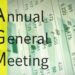 AGM Annual general meeting