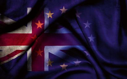 Brexit flags