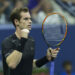 Andy Murray continues his investments rally