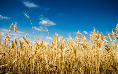 Schroders: $30trn needed to tackle threat to food security and sustainability