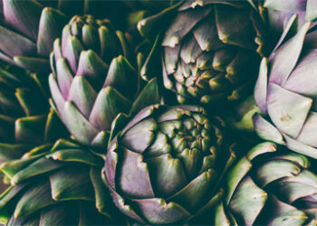 Artichokes