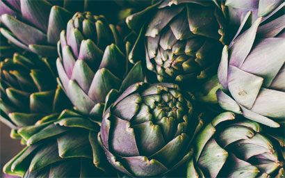 Artichokes