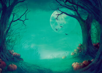 Dark_forest
