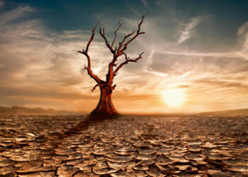 Drought