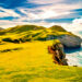 Irish_coast