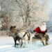 Schroders: Does the Santa Claus rally really exist?