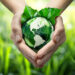 Green_investments