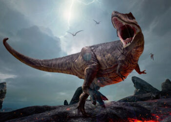 Dinosaur