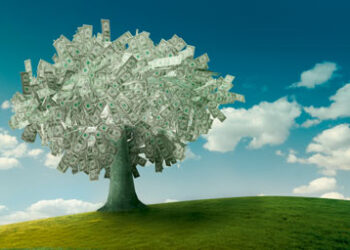 Money_tree