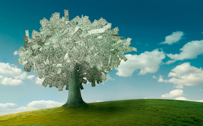 Money_tree