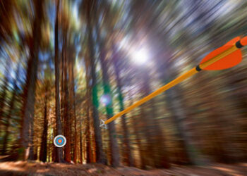 Arrow_target