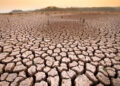 Dried_up_lake