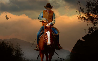 Cowboy