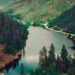Russian_forest