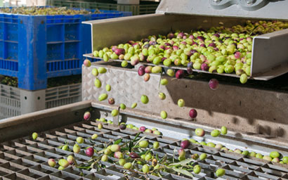 Olives