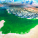 Desert_coast