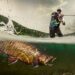 Fisherman