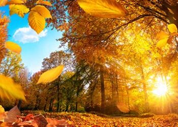 Autumn