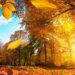 Autumn