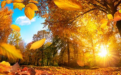 Autumn