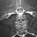 Fossil