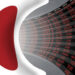Japan equities