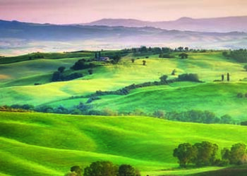 Pastures