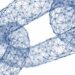 Transparent blockchain
