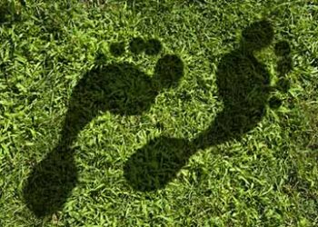 Carbon_footprint